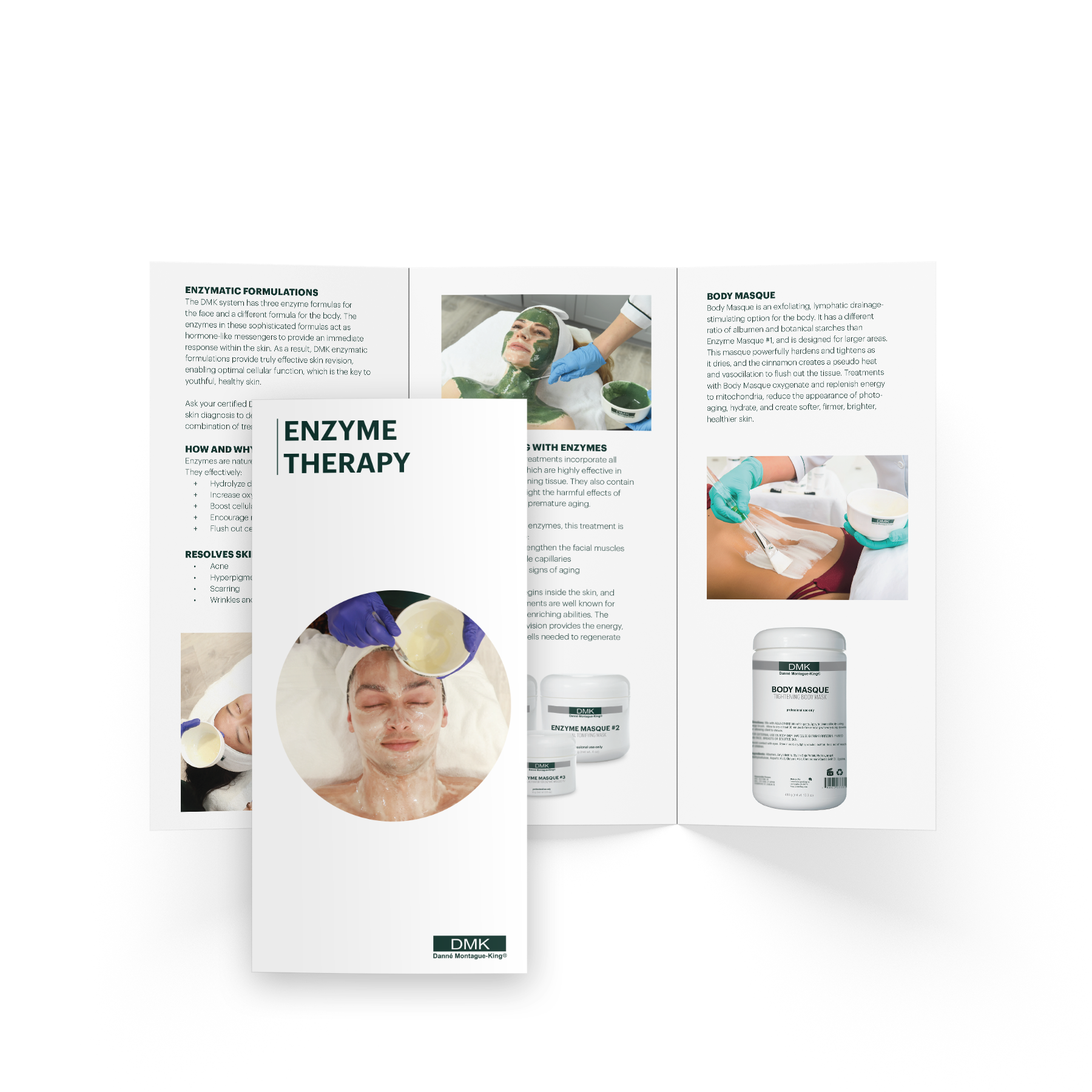 Enzyme Brochure