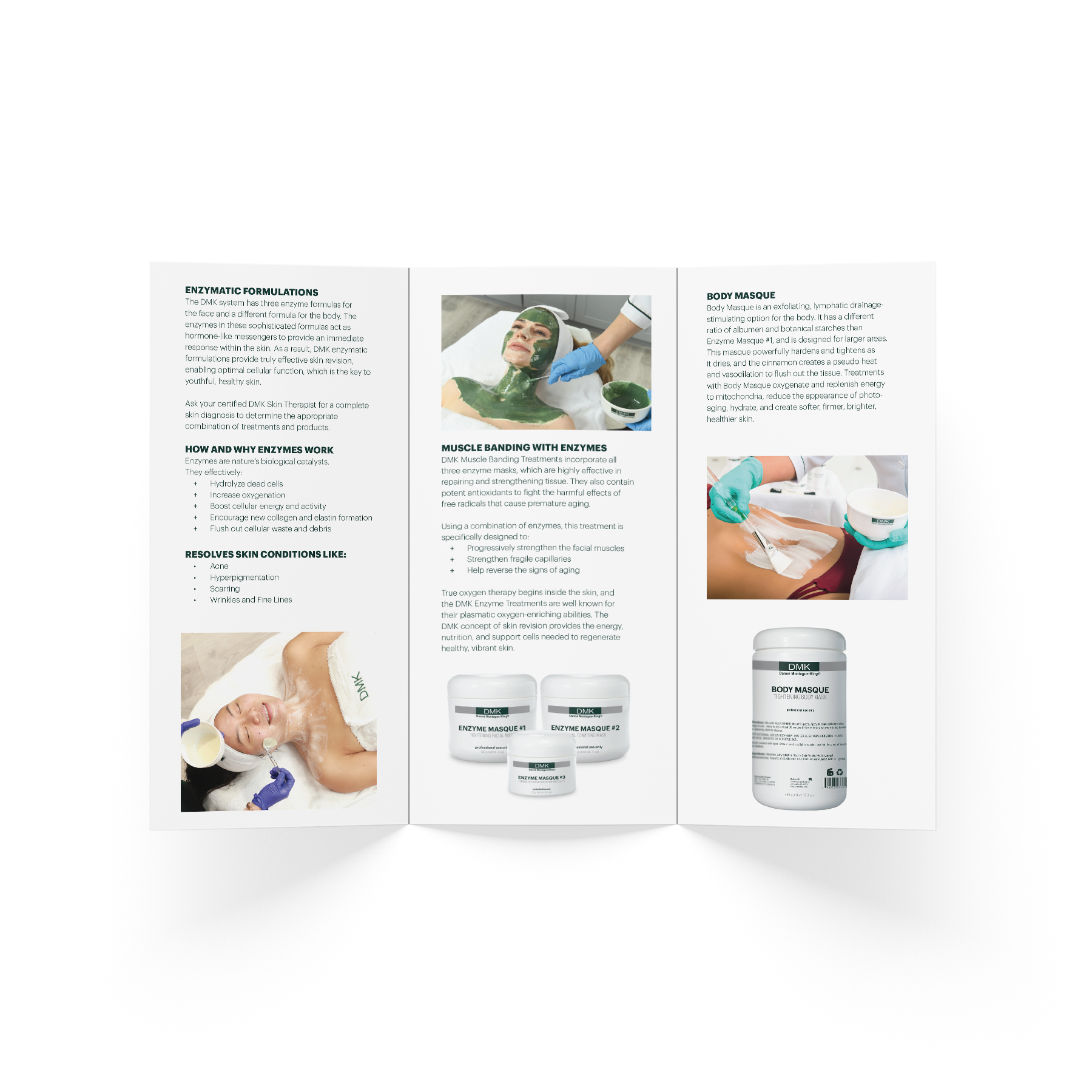 Enzyme Brochure